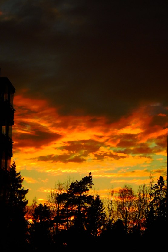 sunset-in-suburbia-2