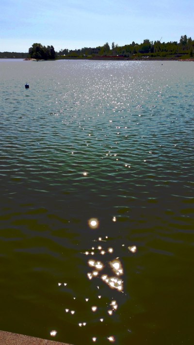 variations-of-a-theme