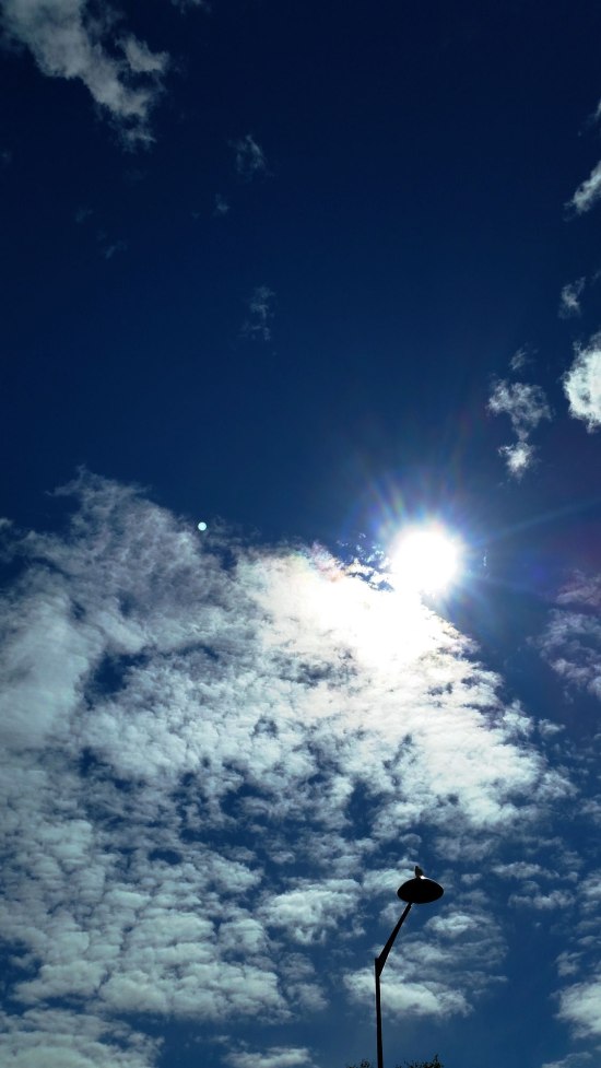 3 peekaboo-i-see-you