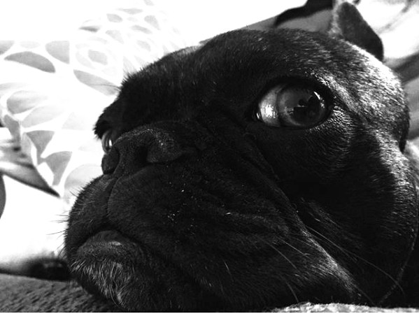 keeping-my-eye-on-you