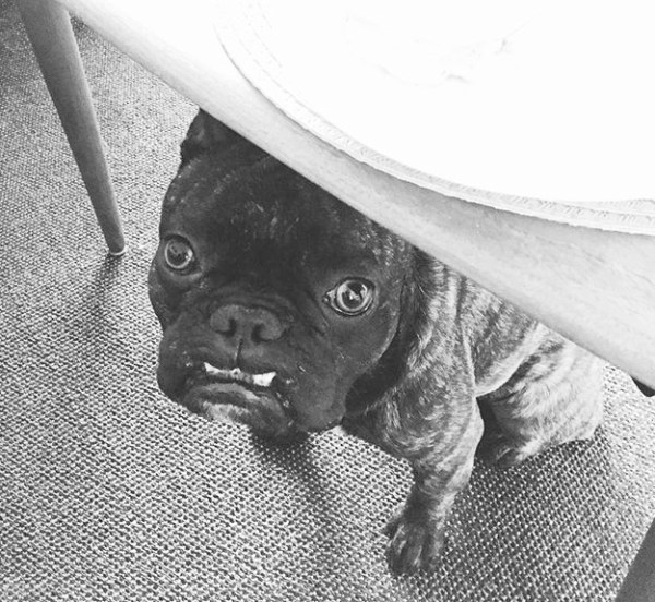 sometimes-i-like-to-hide