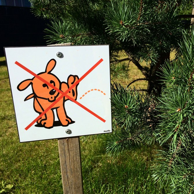 peeing-verboten