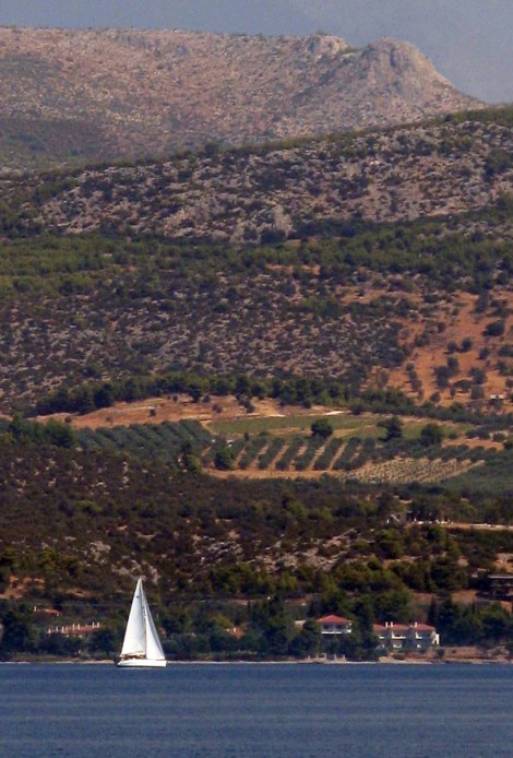 19400494770_2f10c219b6_o