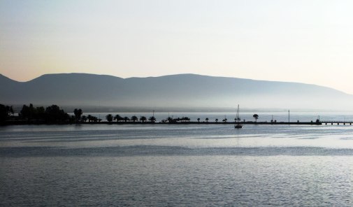 19592779131_d24c5b6c56_o