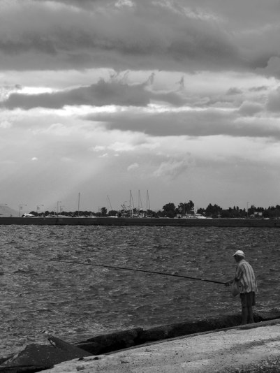 19759543161_2f417f1a26_o