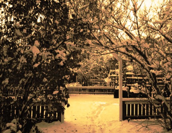 faded-holiday-memory