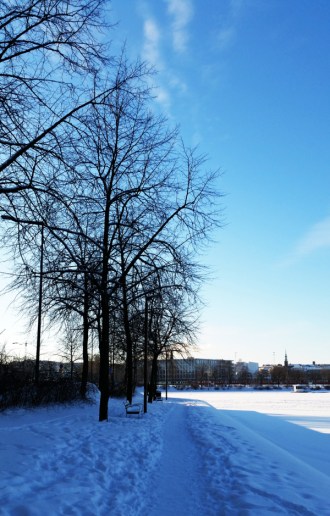 seat-by-the-seashore-1