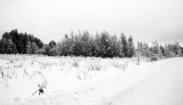 10-road-to-winter