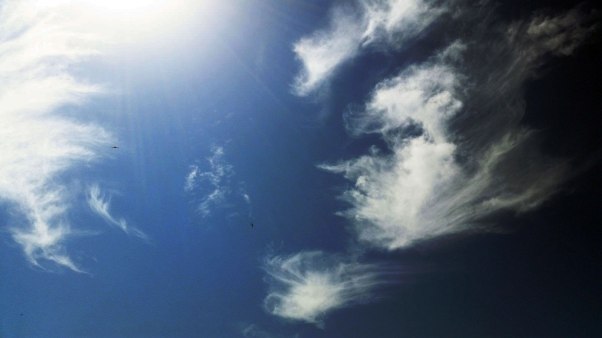 8-simply-birds-and-clouds-in-play