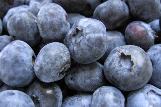 bunch_of_blueberries