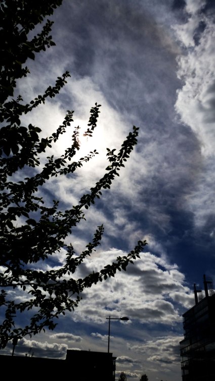 cloudy-with-a-chance-of-sunshine-3