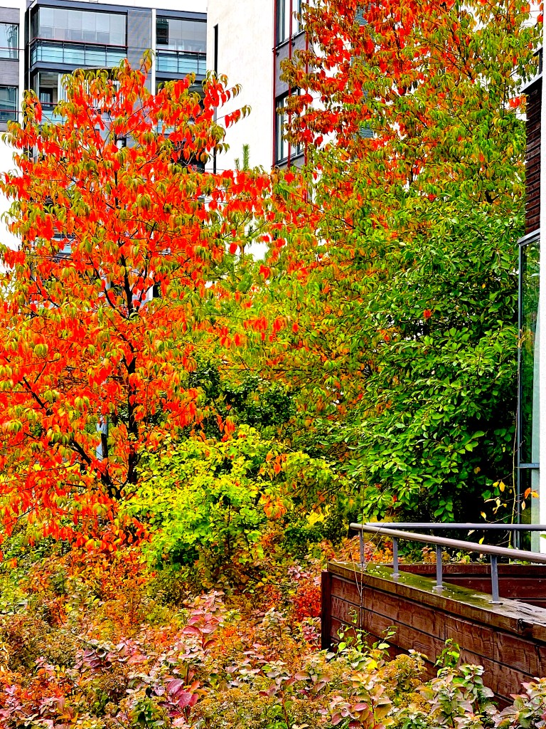 This image has an empty alt attribute; its file name is img_0563-copy.jpg